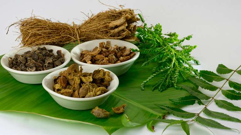 Medohara and lekhaniya dravyas as anti-obesity and hypolipidemic agents in ayurvedic classics